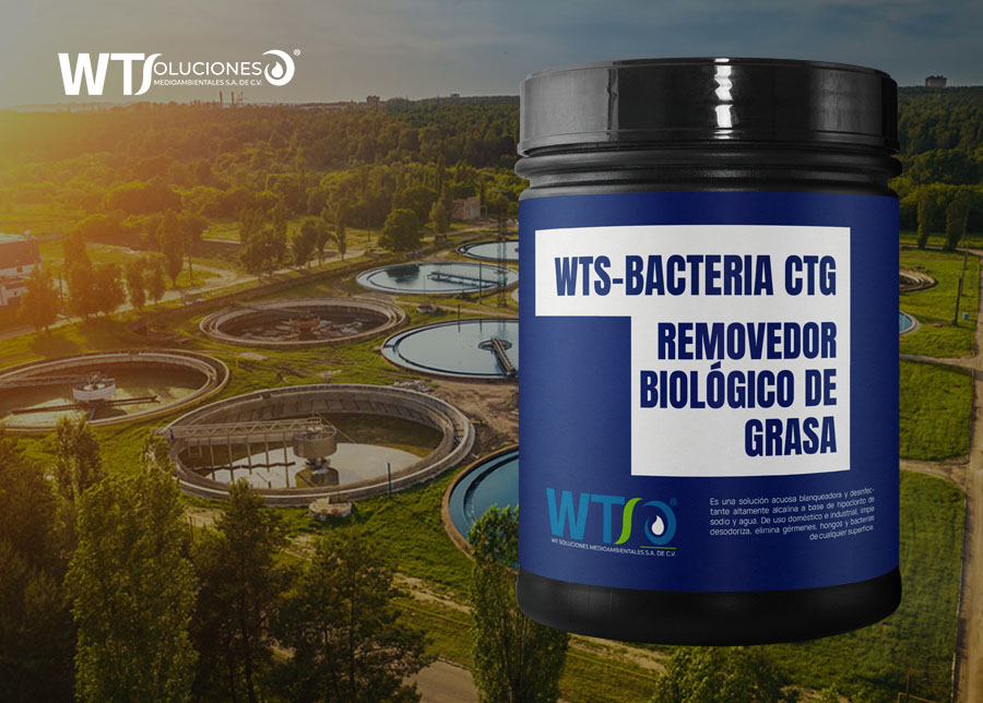 Proveedor de bacterias para tratamiento de aguas