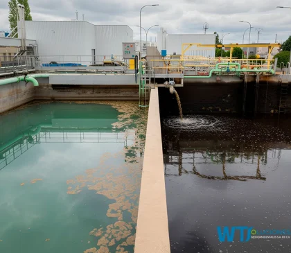 Coagulantes para el tratamiento de aguas negras en México