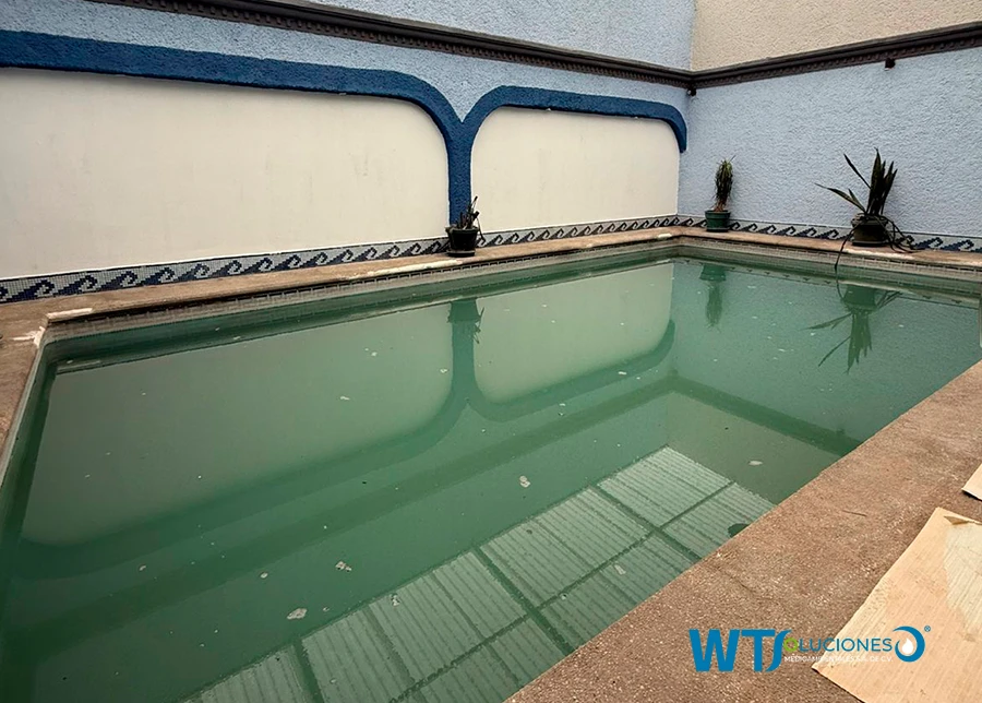 Limpieza de piscina después de 8 años de abandono