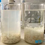 Tratamiento de aguas residuales en procesadoras de lácteos